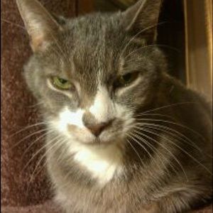 Meet your Posher, Dennis